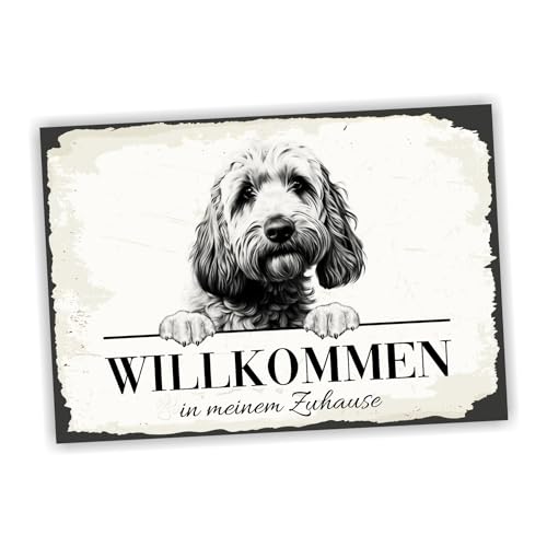 siviwonder Hundeschild Willkommen Zuhause Cockapoo No.3 Dog Schild Spruch Türschild Warnschild Cocker Pudel Geschenkidee schöner Spruch Hundemotiv Aluminium Wetterfestes Hundeschild von siviwonder