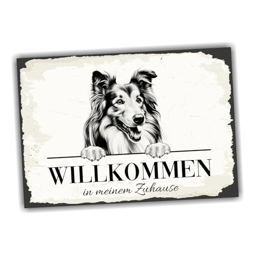 siviwonder Hundeschild Willkommen Zuhause Collie No.1 Dog Schild Spruch Türschild Warnschild Langhaarcollie Geschenkidee schöner Spruch Hundemotiv Aluminium Wetterfestes Hundeschild von siviwonder