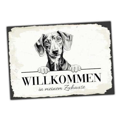 siviwonder Hundeschild Willkommen Zuhause Dackel No.6 Dog Schild Spruch Türschild Warnschild Geschenkidee schöner Spruch Hundemotiv Aluminium Wetterfestes Hundeschild von siviwonder