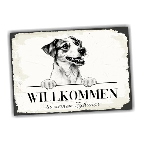 siviwonder Hundeschild Willkommen Zuhause Dansk Svensk Gardhund Dog Schild Spruch Türschild Warnschild von siviwonder