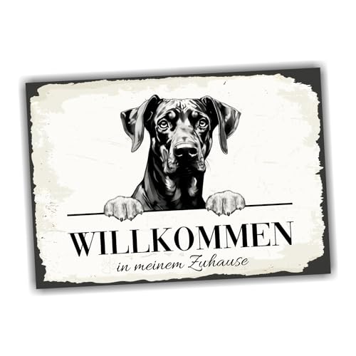 siviwonder Hundeschild Willkommen Zuhause Dobermann Dobi No.1 Dog Schild Spruch Türschild Warnschild Geschenkidee schöner Spruch Hundemotiv Aluminium Wetterfestes Hundeschild siviwonder Hundeschild Willkommen Zuhause Dobermann Dobi No.1 Dog Schild Spruch Türschild Warnschild Geschenkidee schöner Spruch Hundemotiv Aluminium Wetterfestes Hundeschild von siviwonder