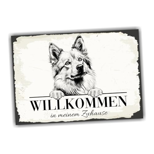 siviwonder Hundeschild Willkommen Zuhause Islandhund Spitz No.1 Dog Schild Spruch Türschild Warnschild Geschenkidee schöner Spruch Hundemotiv Aluminium Wetterfestes Hundeschild von siviwonder