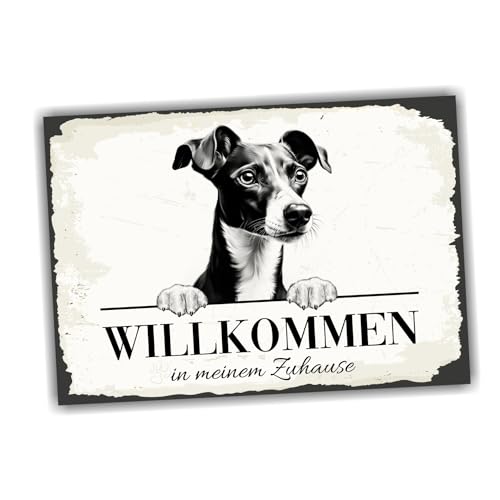 siviwonder Hundeschild Willkommen Zuhause Italienisches Windspiel No.2 Dog Schild Spruch Türschild Warnschild Geschenkidee schöner Spruch Hundemotiv Aluminium Wetterfestes Hundeschild von siviwonder