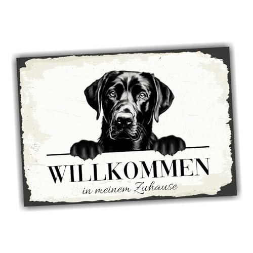 siviwonder Hundeschild Willkommen Zuhause Labrador Labby No.2 Dog Schild Spruch Türschild Warnschild Black Geschenkidee schöner Spruch Hundemotiv Aluminium Wetterfestes Hundeschild siviwonder Hundeschild Willkommen Zuhause Labrador Labby No.2 Dog Schild Spruch Türschild Warnschild Black Geschenkidee schöner Spruch Hundemotiv Aluminium Wetterfestes Hundeschild von siviwonder