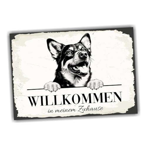 siviwonder Hundeschild Willkommen Zuhause Lancashire Heeler Dog Schild Spruch Türschild Warnschild Terrier Geschenkidee schöner Spruch Hundemotiv Aluminium Wetterfestes Hundeschild siviwonder Hundeschild Willkommen Zuhause Lancashire Heeler Dog Schild Spruch Türschild Warnschild Terrier Geschenkidee schöner Spruch Hundemotiv Aluminium Wetterfestes Hundeschild von siviwonder