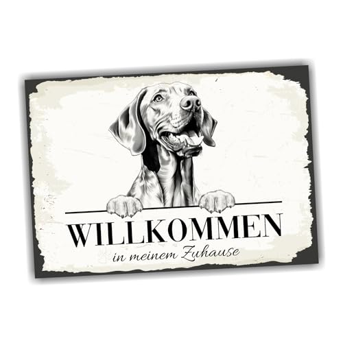 siviwonder Hundeschild Willkommen Zuhause Magyar Vizsla No.1 Dog Schild Spruch Türschild Warnschild Ungarn Geschenkidee schöner Spruch Hundemotiv Aluminium Wetterfestes Hundeschild von siviwonder
