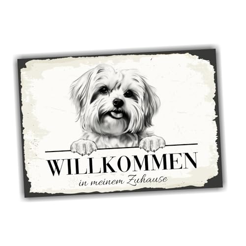 siviwonder Hundeschild Willkommen Zuhause Malteser Maltese No.2 Dog Schild Spruch Türschild Warnschild Geschenkidee schöner Spruch Hundemotiv Aluminium Wetterfestes Hundeschild siviwonder Hundeschild Willkommen Zuhause Malteser Maltese No.2 Dog Schild Spruch Türschild Warnschild Geschenkidee schöner Spruch Hundemotiv Aluminium Wetterfestes Hundeschild von siviwonder