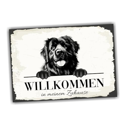 siviwonder Hundeschild Willkommen Zuhause Neufundländer Neufi No.3 Dog Schild Spruch Türschild Warnschild Geschenkidee schöner Spruch Hundemotiv Aluminium Wetterfestes Hundeschild siviwonder Hundeschild Willkommen Zuhause Neufundländer Neufi No.3 Dog Schild Spruch Türschild Warnschild Geschenkidee schöner Spruch Hundemotiv Aluminium Wetterfestes Hundeschild von siviwonder