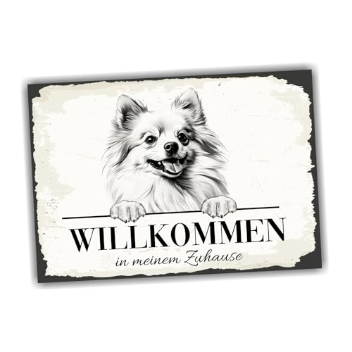 siviwonder Hundeschild Willkommen Zuhause Pomeranian Pom Zwergspitz No.1 Dog Schild Spruch Türschild Warnschild Geschenkidee schöner Spruch Hundemotiv Aluminium Wetterfestes Hundeschild von siviwonder