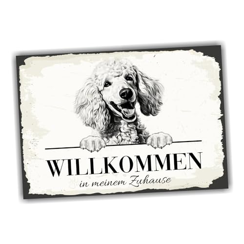 siviwonder Hundeschild Willkommen Zuhause Pudel No.1 Dog Schild Spruch Türschild Warnschild Zwergpudel Geschenkidee schöner Spruch Hundemotiv Aluminium Wetterfestes Hundeschild siviwonder Hundeschild Willkommen Zuhause Pudel No.1 Dog Schild Spruch Türschild Warnschild Zwergpudel Geschenkidee schöner Spruch Hundemotiv Aluminium Wetterfestes Hundeschild von siviwonder