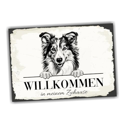 siviwonder Hundeschild Willkommen Zuhause Sheltie Shetland Sheepdog No.1 Dog Schild Spruch Türschild Warnschild Geschenkidee schöner Spruch Hundemotiv Aluminium Wetterfestes Hundeschild von siviwonder