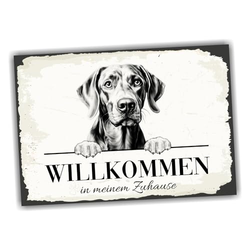 siviwonder Hundeschild Willkommen Zuhause Weimaraner Weim No.1 Dog Schild Spruch Türschild Warnschild Geschenkidee schöner Spruch Hundemotiv Aluminium Wetterfestes Hundeschild siviwonder Hundeschild Willkommen Zuhause Weimaraner Weim No.1 Dog Schild Spruch Türschild Warnschild Geschenkidee schöner Spruch Hundemotiv Aluminium Wetterfestes Hundeschild von siviwonder