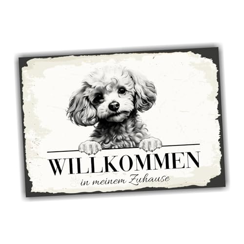 siviwonder Hundeschild Willkommen Zuhause Zwergpudel Pudel Toy No.1 Dog Schild Spruch Türschild Warnschild Geschenkidee schöner Spruch Hundemotiv Aluminium Wetterfestes Hundeschild von siviwonder