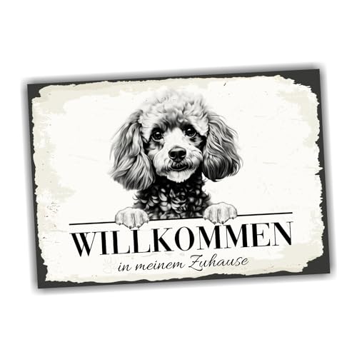 siviwonder Hundeschild Willkommen Zuhause Zwergpudel Pudel Toy No.2 Dog Schild Spruch Türschild Warnschild Geschenkidee schöner Spruch Hundemotiv Aluminium Wetterfestes Hundeschild von siviwonder