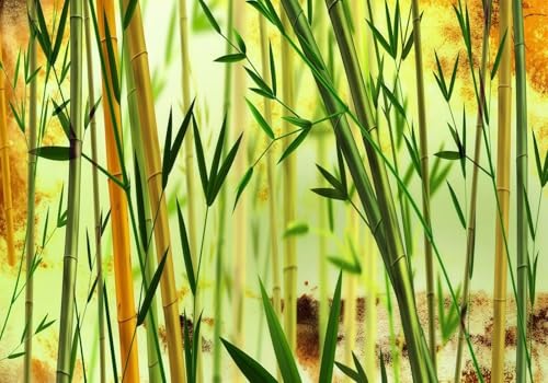 skdhlifpj Fototapete 3d Effekt Bambus 300cmx210cm Wandbild xxl Schlafzimmer wohnzimmer Tropischer Regenwald Grüner Bambushain Wandbelag Wanddeko von skdhlifpj