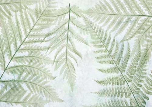 skdhlifpj Fototapete 3d Effekt Grüne Blätter 400cmx280cm Wandbild xxl Schlafzimmer wohnzimmer Tropische Pflanzenlandschaft Wandbelag Wanddeko skdhlifpj Fototapete 3d Effekt Grüne Blätter 400cmx280cm Wandbild xxl Schlafzimmer wohnzimmer Tropische Pflanzenlandschaft Wandbelag Wanddeko von skdhlifpj