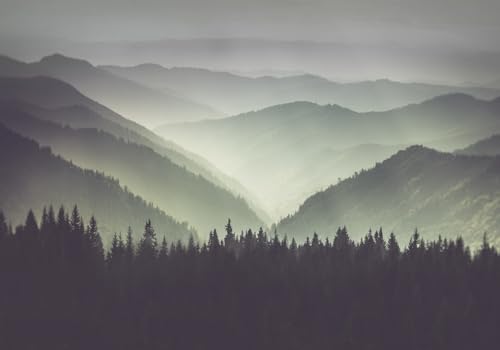 skdhlifpj Fototapete 3d Effekt Natur Landschaft 350cmx245cm Wandbild xxl Schlafzimmer wohnzimmer Tropischer Kiefernwald Ferne Berglandschaft Künstlerische Darstellung Wandbelag Wanddeko von skdhlifpj