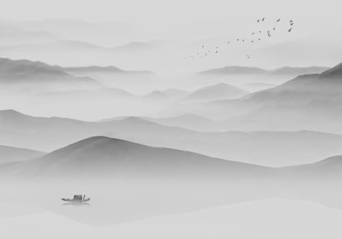 skdhlifpj Fototapete 3d Effekt Sanfte Berge 430cmx300cm Wandbild xxl Schlafzimmer wohnzimmer Schwarz-Weiße Naturlandschaft Mit Vögeln Und Ozean Wandbelag Wanddeko von skdhlifpj