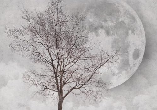 skdhlifpj Fototapete 3d Effekt Schwarz-Weißer Baum 250cmx175cm Wandbild xxl Schlafzimmer wohnzimmer Graue, Neblige Mondlandschaft Wandbelag Wanddeko von skdhlifpj