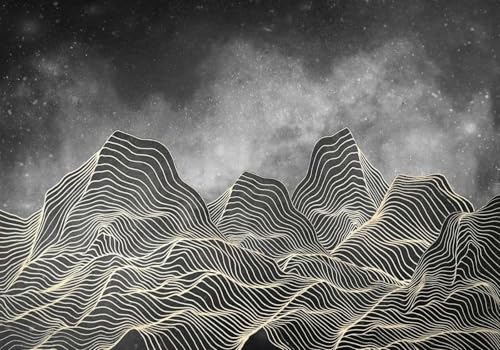 skdhlifpj Fototapete 3d Effekt Schwarze Geometrische Muster 430cmx300cm Wandbild xxl Schlafzimmer wohnzimmer Vintage Landschaft Im Chinesischen Stil Wandbelag Wanddeko von skdhlifpj