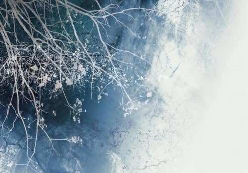 skdhlifpj Fototapete 3d Effekt Weiße Bäume 430cmx300cm Wandbild xxl Schlafzimmer wohnzimmer Blau Gespritzte Tuschemalerei Wandbelag Wanddeko von skdhlifpj