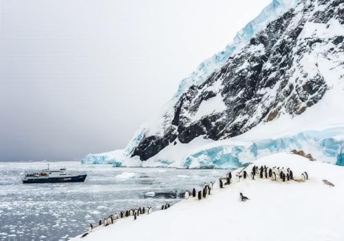 skdhlifpj Fototapete 3d Effekt Weiße Schneebedeckte Berge 200cmx140cm Wandbild xxl Schlafzimmer wohnzimmer Antarktische Pinguine Schifflandschaft Wandbelag Wanddeko von skdhlifpj