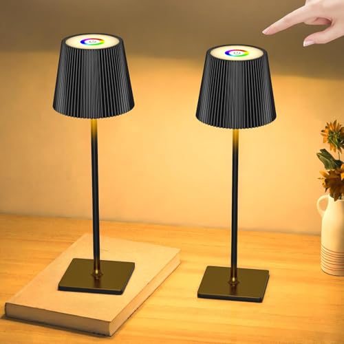 skelo Tischlampe Kabellos Dimmbare Touch LED Akku Tischlampe RGB 3 Farbtemperatur IP54 4000mAh Für drinnen und draußen geeignet Wiederaufladbar USB-C Metallmaterial Schwarz 2 Stück von skelo