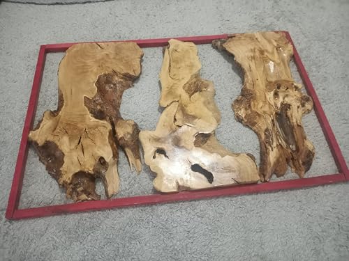 Live Edge Olive Root Slab Set for DIY Vertical River Table, Ready to be Resin Table, Cleared Wood Slab for Epoxy Resin Projects (50x80cm) von skilled hands