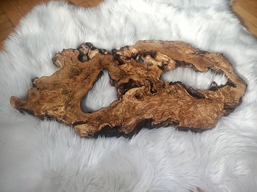 Live Edge Olive Root Slab for DIY and Epoxy Table, Ready to be Resin Table, Cleared Wood Slab for Epoxy Resin (40x50cm) von skilled hands