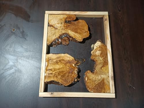 Live Edge Olive Root Slabs Set for DIY Epoxy Projects cutting boards, Ready to be Resin Table, Cleared Wood Slabs for Epoxy Resin Project 30x40 von skilled hands