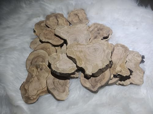 Live Edge Olive Wood Slab from Tree Branches for DIY and Epoxy, Ready to be Resin Table, Cleared Wood Slab for Epoxy Resin Projects (1 Set(18-22 Pieces)) von skilled hands