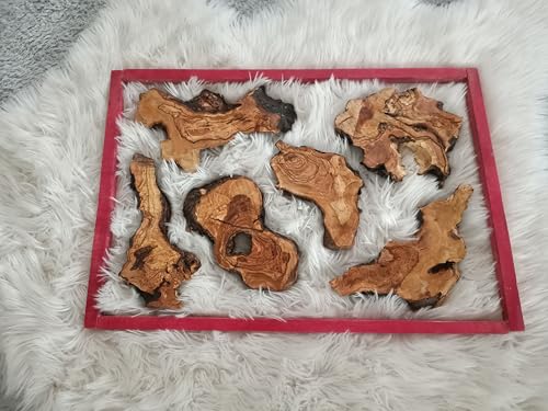 Live Edge Varnished Olive Wood Slabs Set 6-10-16 Pieces for DIY and Epoxy, Ready to be Resin (16) von skilled hands