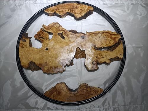 Round Olive Root Slab Set for DIY Epoxy Projects with 3 pieces Varnished (40cm Red Framed) von skilled hands