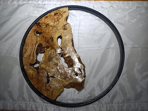 Round Olive Root Slab for DIY Epoxy Projects varnished framed (40cm Black Framed) von skilled hands