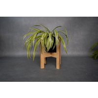 Holz-Blumenständer/Rustikaler Blumenständer Pflanzenständer Maßgefertigter Pflanzentopf-ständer Holz-Blumenständer/Rustikaler Blumenständer Pflanzenständer Maßgefertigter Pflanzentopf-ständer von sklejkie