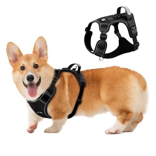 Hundegeschirr mit AirTag-Halter, verstellbare ausbruchsichere Weste für kleine Hunde, kein Würgen, reflektierendes Geschirr mit Griff für einfache Kontrolle, strapazierfähig für Training, Wandern von skmeditec
