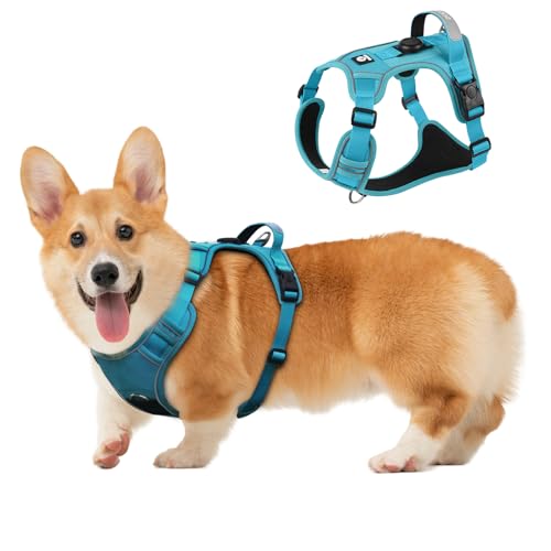Hundegeschirr mit Tracker-Tag-Halter, verstellbare ausbruchsichere Weste für kleine Hunde, kein Würgen, reflektierendes Geschirr mit Griff für einfache Kontrolle, strapazierfähig für Training, Wandern von skmeditec