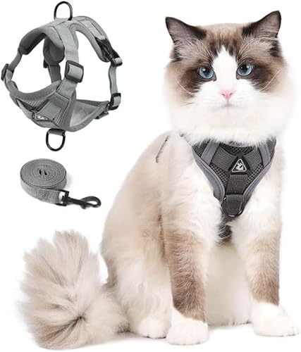 Katzengeschirr mit Leinen katzenleine, katzengeschirr mit Leine Ausbruchsicher für Kätzchen und Welpen Spaziergänge im Freien, atmungsaktive Netzjacke mit Reflektorstreifen, M Grau Katzengeschirr mit Leinen katzenleine, katzengeschirr mit Leine Ausbruchsicher für Kätzchen und Welpen Spaziergänge im Freien, atmungsaktive Netzjacke mit Reflektorstreifen, M Grau von skmeditec