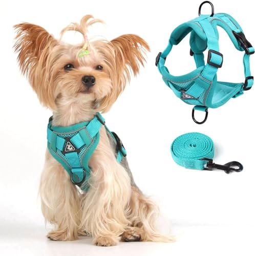 Weste Geschirr Leinen Set für Kleine Hunde und Große Katzen, Katzen Geschirr Set mit Leine Ausbruchsicher Verstellbare Jacke für Dicke Katzen, Weicher Netzmantel mit Reflektorstreifen, XL Grün von skmeditec
