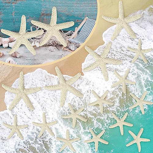 skytowards 15 Stück Seestern Deko Finger Starfish Beige Seestern Aquarium Kunstharz Bleistift Starfish Dekoration Mini Seesterne Flatback Hängende Dekorative Ornamente für Hochzeit Dekor von skytowards