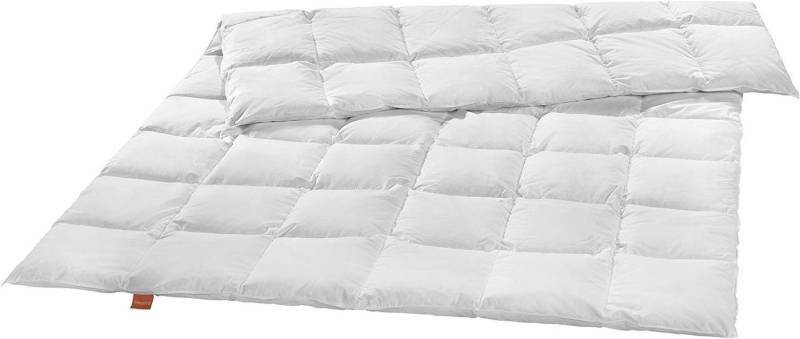 sleepling Federbettdecke für den Winter in den Größen 135x200, 155x220 und 220x240 cm, Füllung: 100% neue Federn, Bezug: Mako Baumwolle, für Allergiker geeignet, mit Down-Pass von sleepling