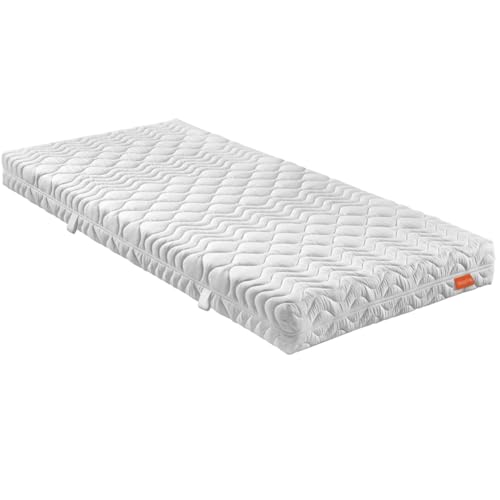 sleepling 7 -Zonen Kaltschaummatratze 100 x 200 x 21 cm Bodyprotect 500, Wende Matratze mit Duo Härtegrad 2 & 3, Made in EU, Wendegriffe, Waschbar 60 Grad, Ökotex 100 von sleepling