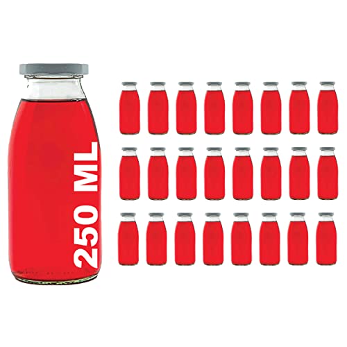 casavetro Milchflaschen Glasflaschen 250ml Likörflaschen 24 Stück Saftflaschen leere Smoothie Schraub-Verschluss Deckel TO 43 zum befüllen (24 x 250 ml) von casavetro