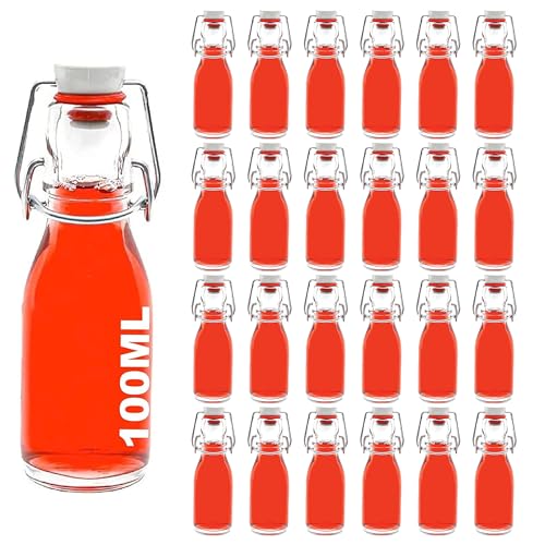 slkfactory 24 leere Glasflaschen a 100 ml mit kleine Bügelverschluss-Flasche mit Bügel Bügelflasche 0,1 liter l Drahtbügel-Flasche Schnapsflasche Likörflasche mit Verschluss (24 x 100ml) von slkfactory