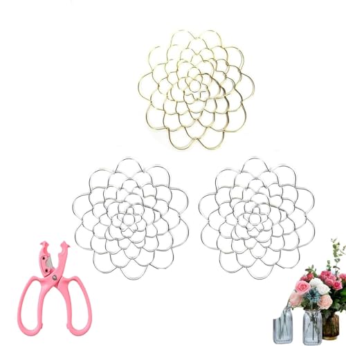sloiaz Blumengitter-Organizer aus Edelstahl, Blumenarrangement-Halter, kräftiges Gitter, wiederverwendbar, Blumenfrosch, Draht-Arrangement-Drehung for Vasen, Blumenstängel(Gold+Silver,4+5+6 inch) von sloiaz