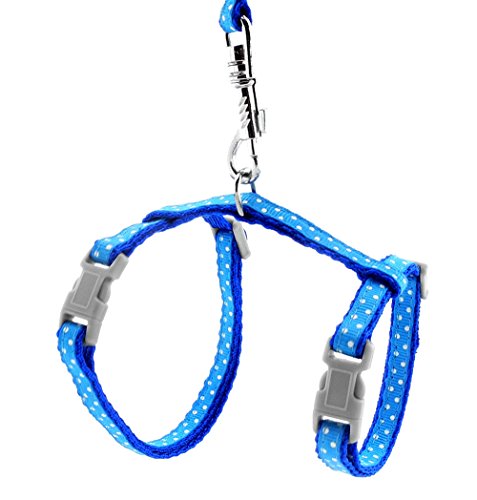 SMALLLEE_LUCKY_STORE Spielzeug Hund Katze Kätzchen Verstellbares Geschirr Halsband Kaninchen Geschir Elastischer Gehgeschirr Set für Kleintiere,Gepunktet,Blau von smalllee_lucky_store