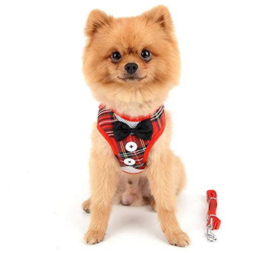 SMALLLEE_LUCKY_STORE Pet Soft Mesh Smoking Gentleman Geschirr Weste und Leine für kleine Hunde und Katzen, gepolstert, verstellbar, Rot kariert von smalllee_lucky_store