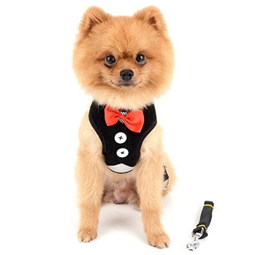 SMALLLEE_LUCKY_STORE Pet Soft Mesh Smoking Gentleman Geschirr Weste und Leine für kleine Hunde und Katzen, gepolstert, verstellbar, Schwarz, M von smalllee_lucky_store