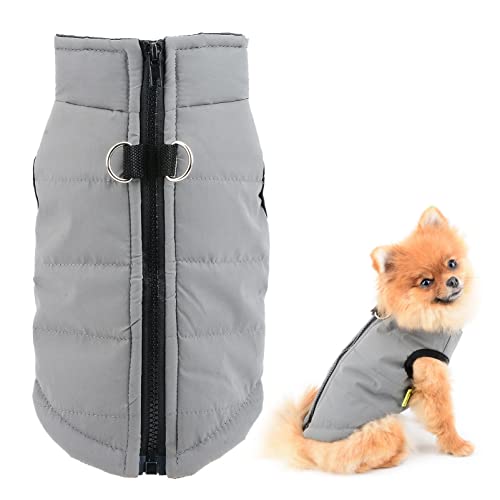 SMALLLEE_LUCKY_STORE Wasserdichte Winterjacke für kleine Hunde, Katzen, mit Reißverschluss, gepolstert, für Chihuahua, Yorkie, Kätzchen, warme Kleidung, Grau, Größe M von smalllee_lucky_store