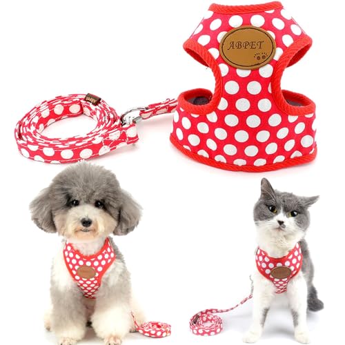 SMALLLEE_LUCKY_STORE Hundegeschirr mit Leine, weiche Mesh-Nylon-Weste für kleine Haustiere, Katzen-/Hundegeschirr von smalllee_lucky_store